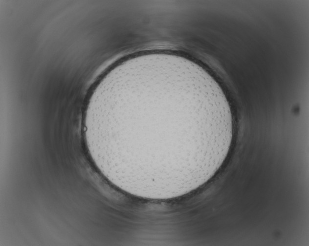 X0000115821220200912241928