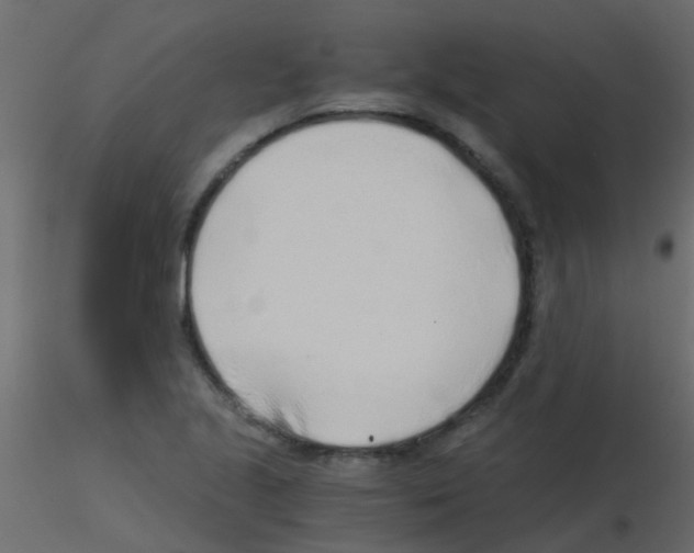 X0000115821221200912241928