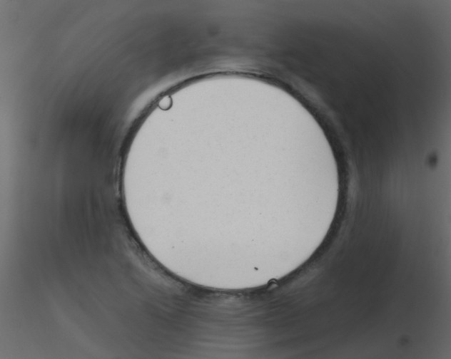 X0000115821222200912241928