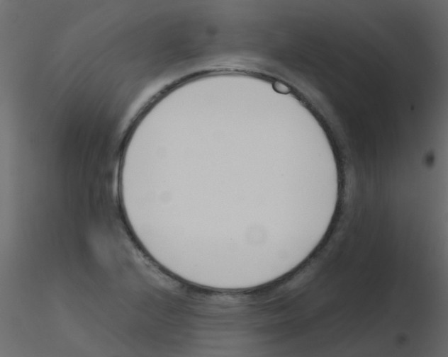 X0000115821224200912241928