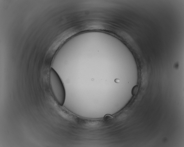 X0000115821225200912241928