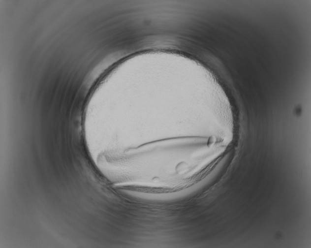 X0000115821226200912241928