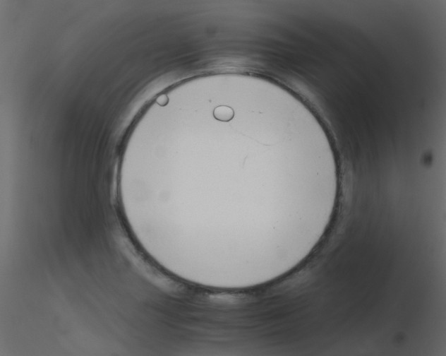 X0000115821227200912241928