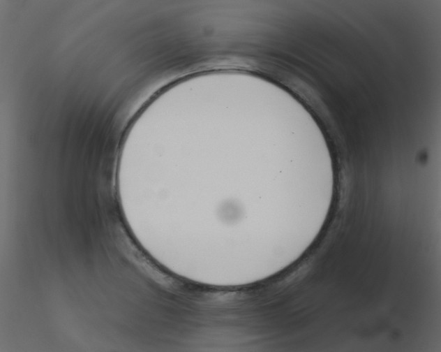 X0000115821228200912241928