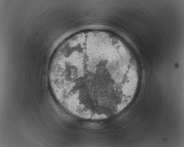 X0000115821229200912241928