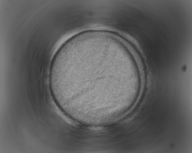 X0000115821231200912241928