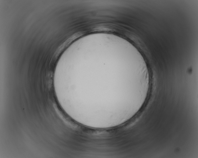 X0000115821233200912241928