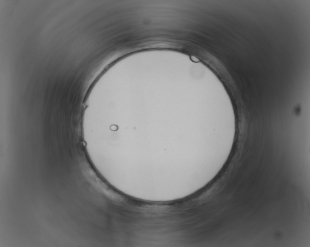 X0000115821236200912241928