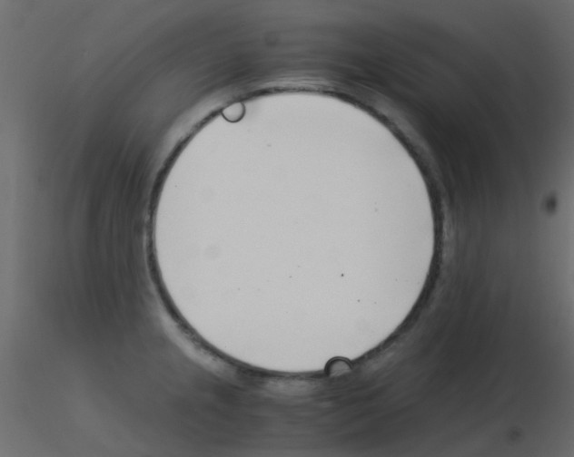 X0000115821237200912241928