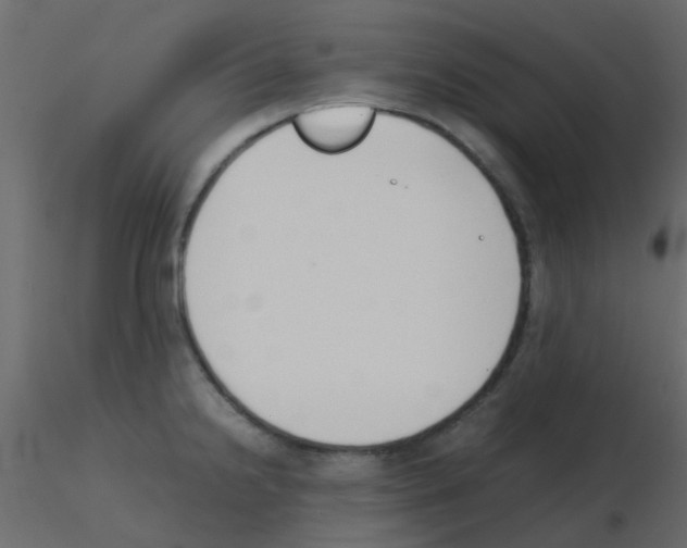 X0000115821238200912241928