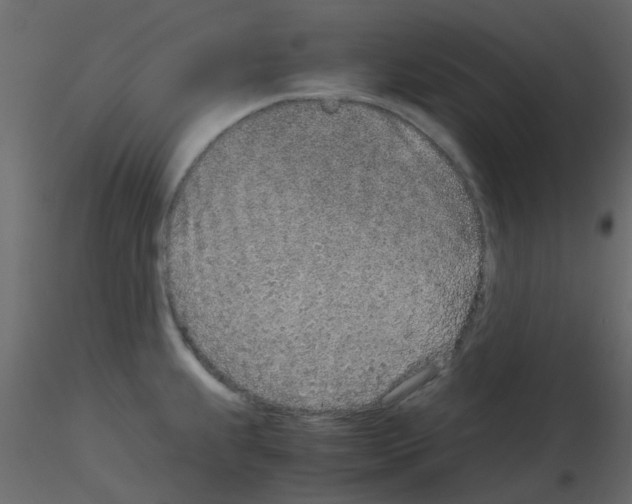 X0000115821239200912241928