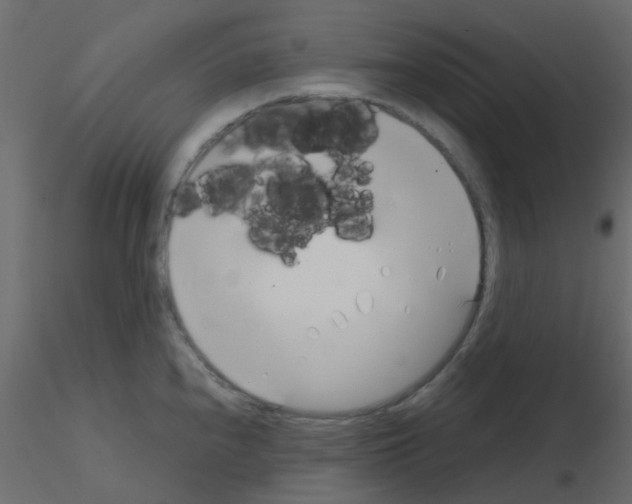 X0000115821240200912241928