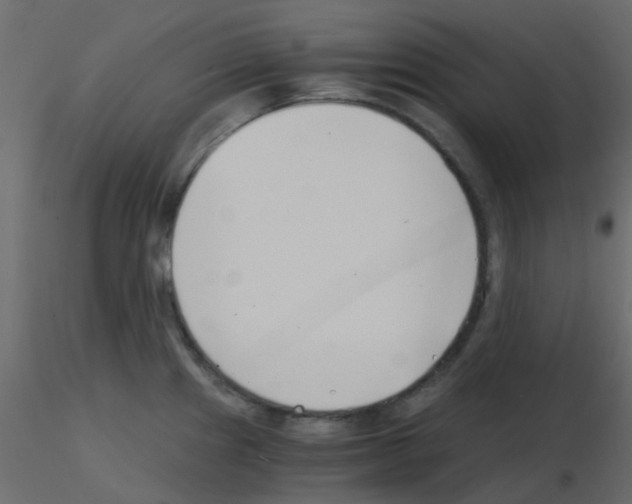 X0000115821241200912241928