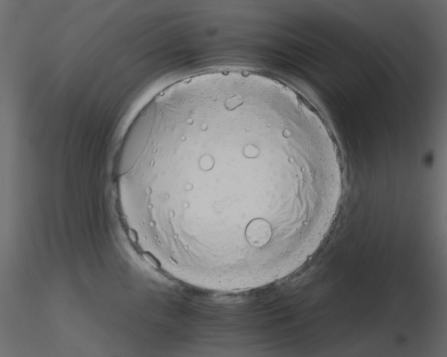 X0000115821243200912241928