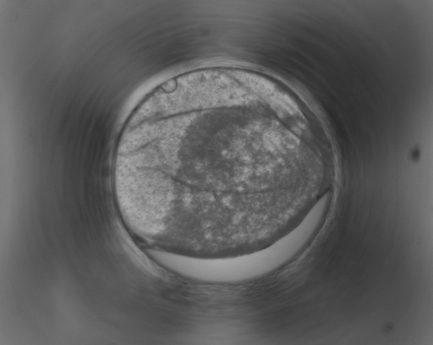 X0000115821246200912241928