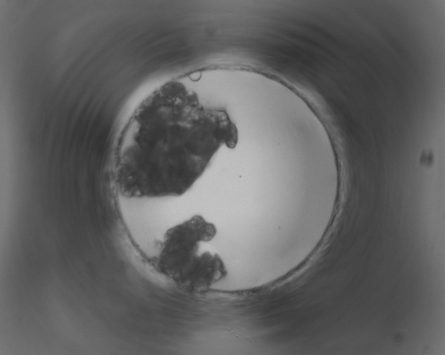 X0000115821248200912241928