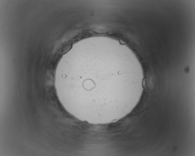 X0000115821253200912241928