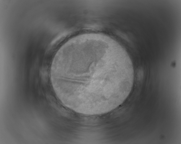 X0000115821254200912241928