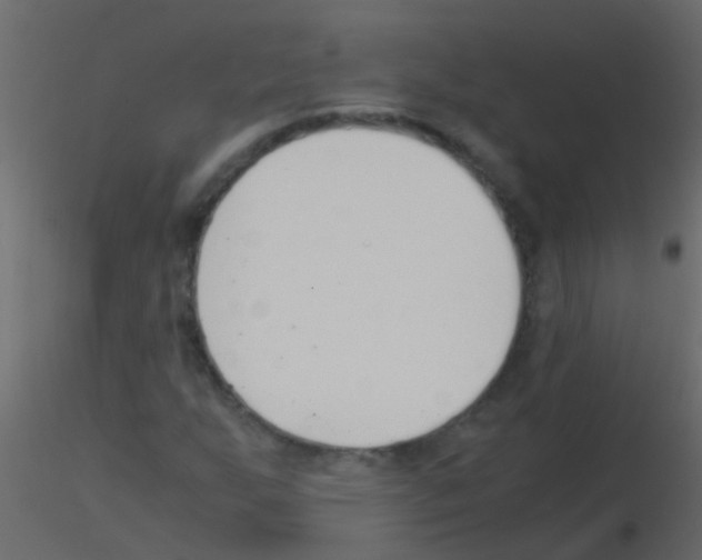 X0000115821255200912241928