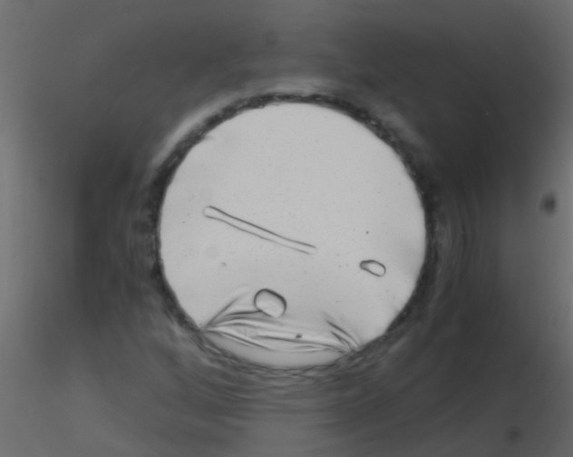 X0000115821256200912241928