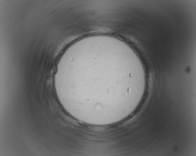 X0000115821257200912241928