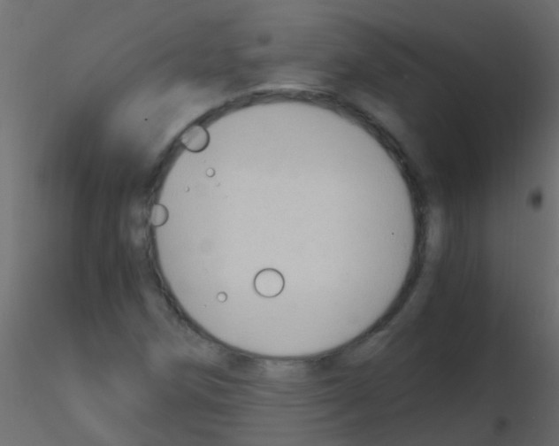 X0000115821258200912241927