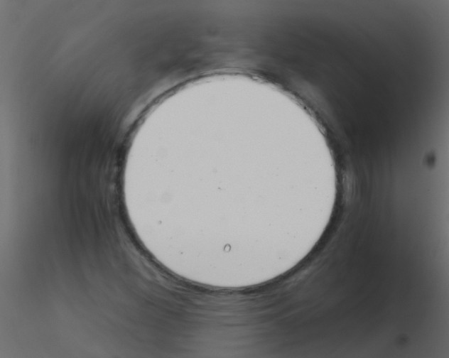 X0000115821260200912241927