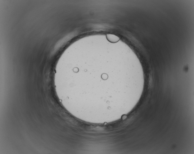 X0000115821261200912241927