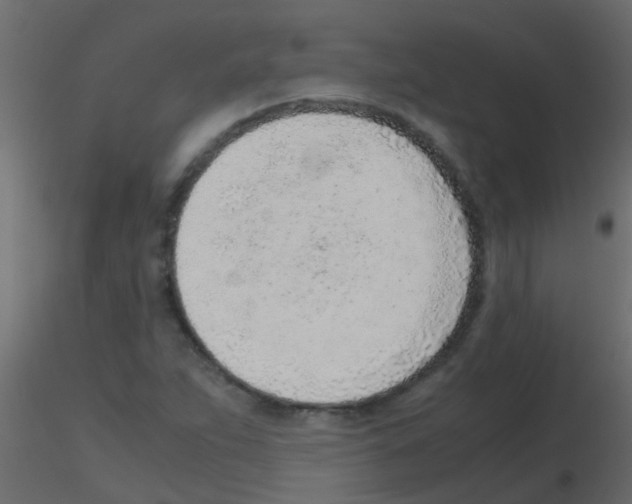 X0000115821263200912241927