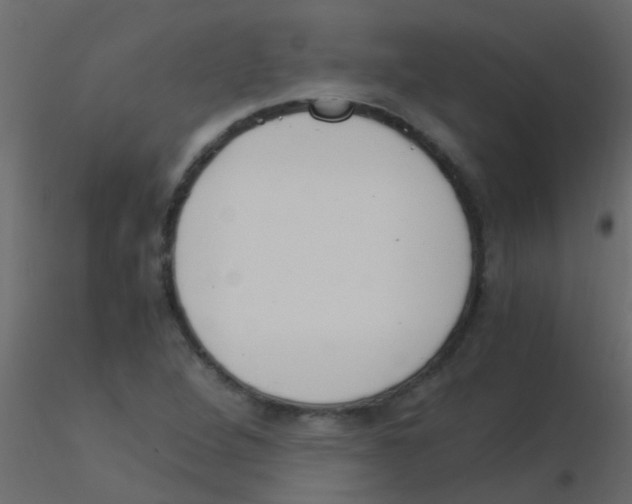 X0000115821264200912241927