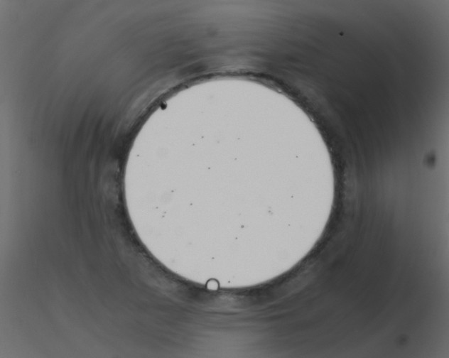 X0000115821265200912241927