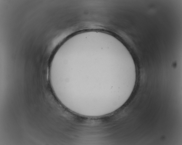 X0000115821269200912241927