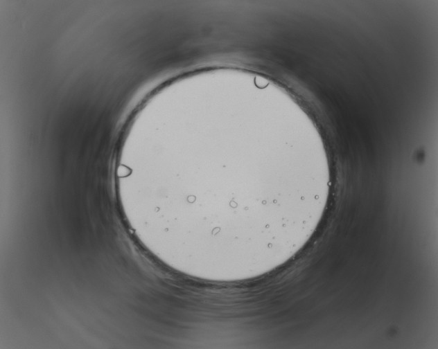 X0000115821272200912241927