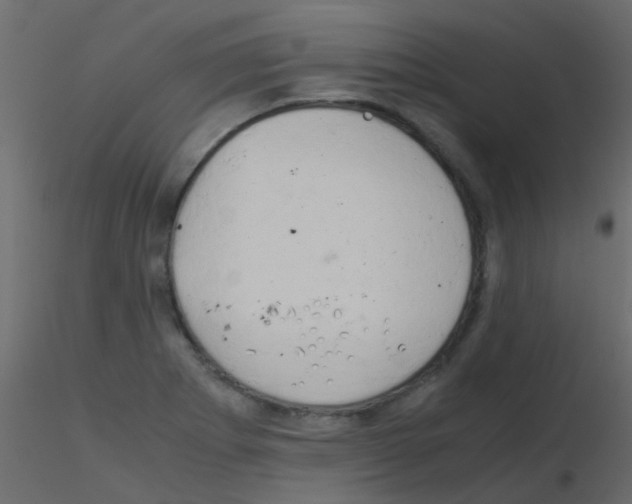 X0000115821273200912241927