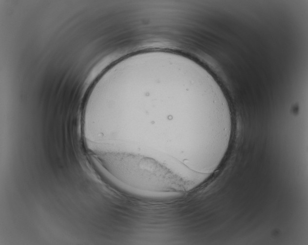 X0000115821274200912241927