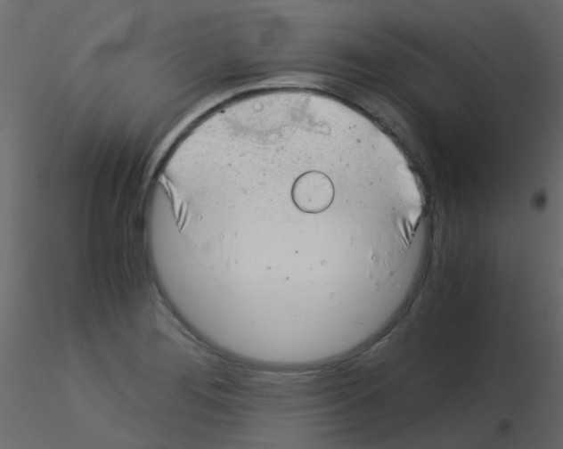 X0000115821276200912241927