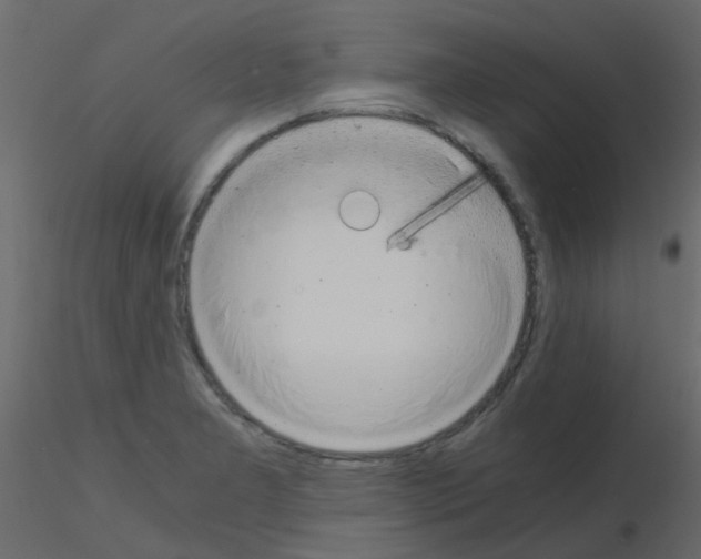 X0000115821277200912241927