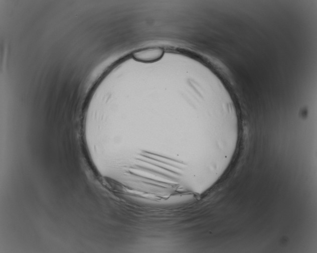 X0000115821279200912241927