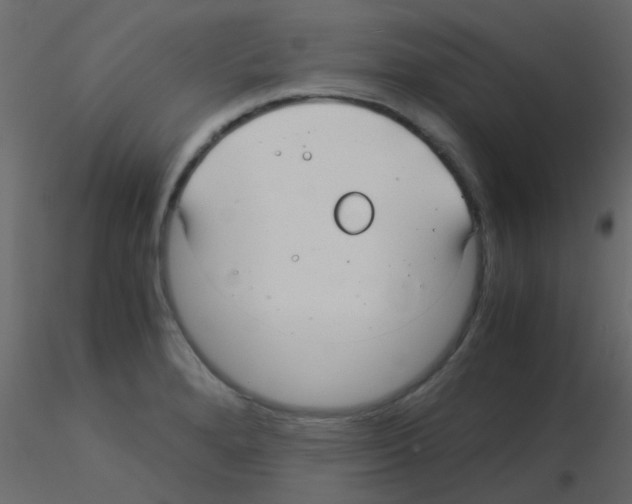 X0000115821280200912241927