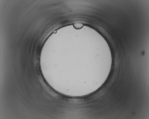 X0000115821281200912241927