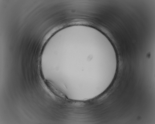 X0000115821282200912241927