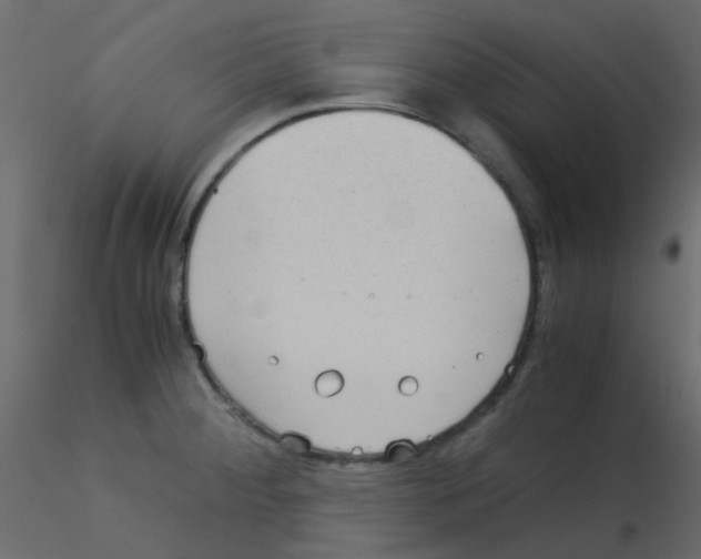 X0000115821284200912241927