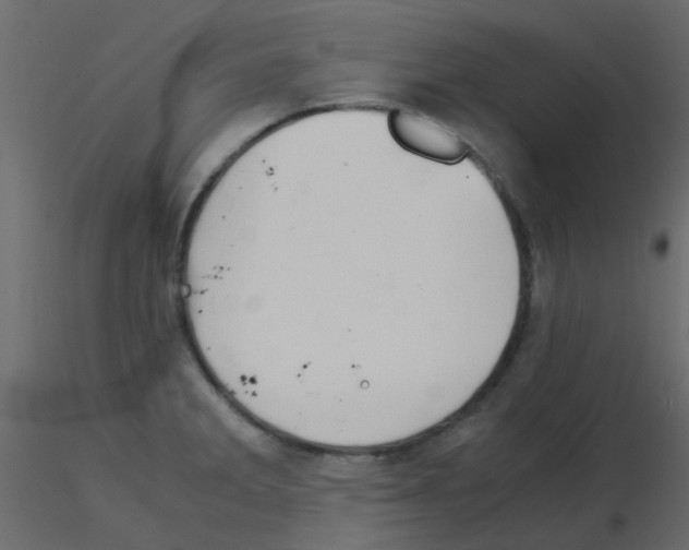 X0000115821285200912241927