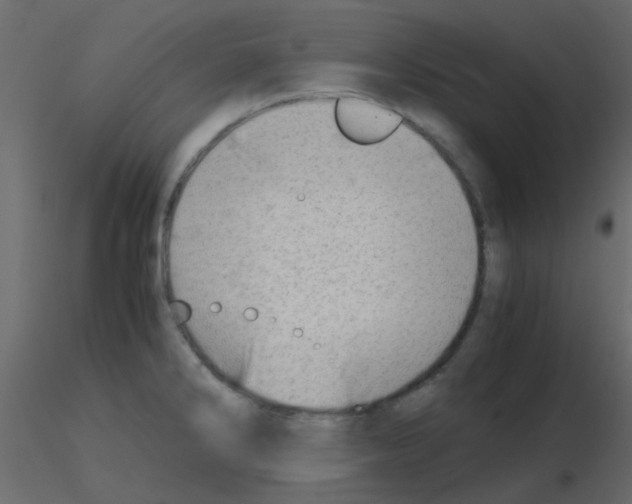 X0000115821286200912241927