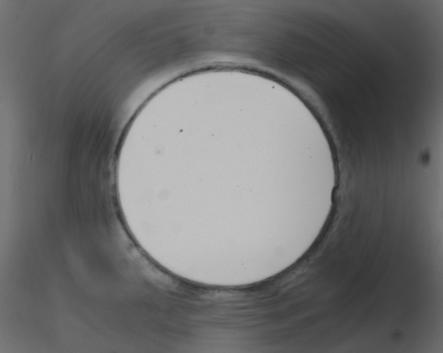 X0000115821287200912241927