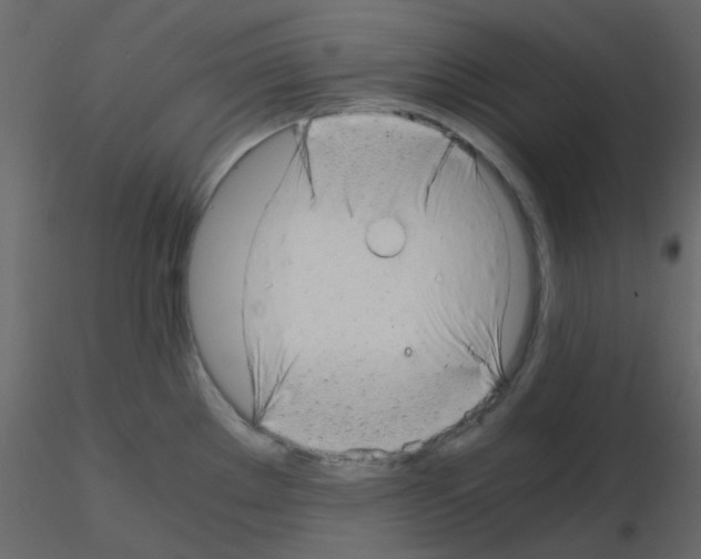 X0000115821289200912241927