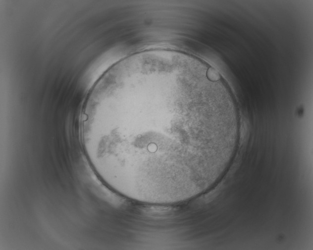 X0000115821290200912241927