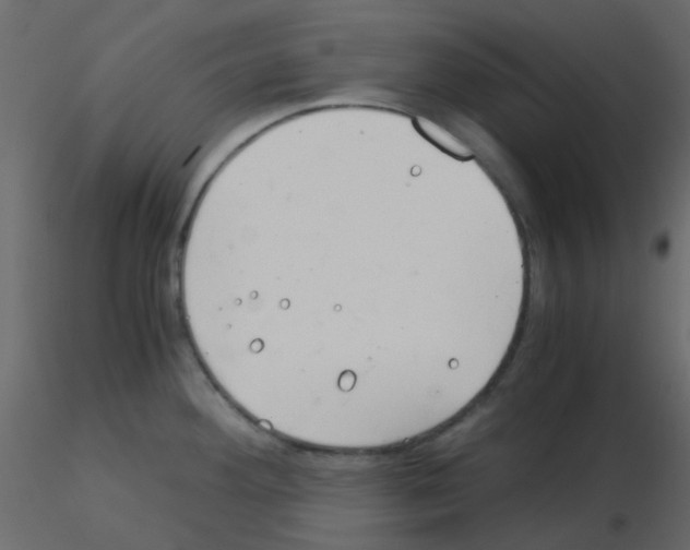 X0000115821292200912241927