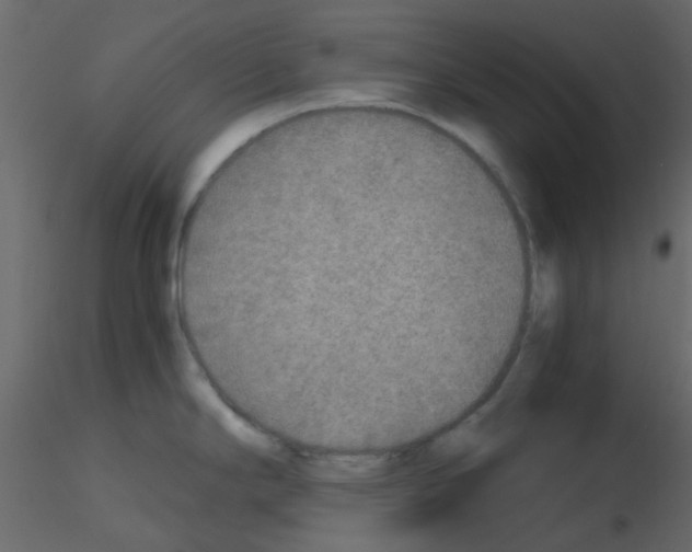 X0000115821294200912241927