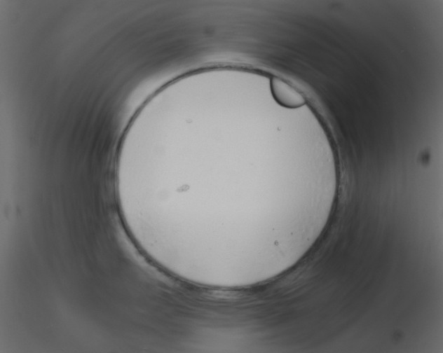 X0000115821295200912241927